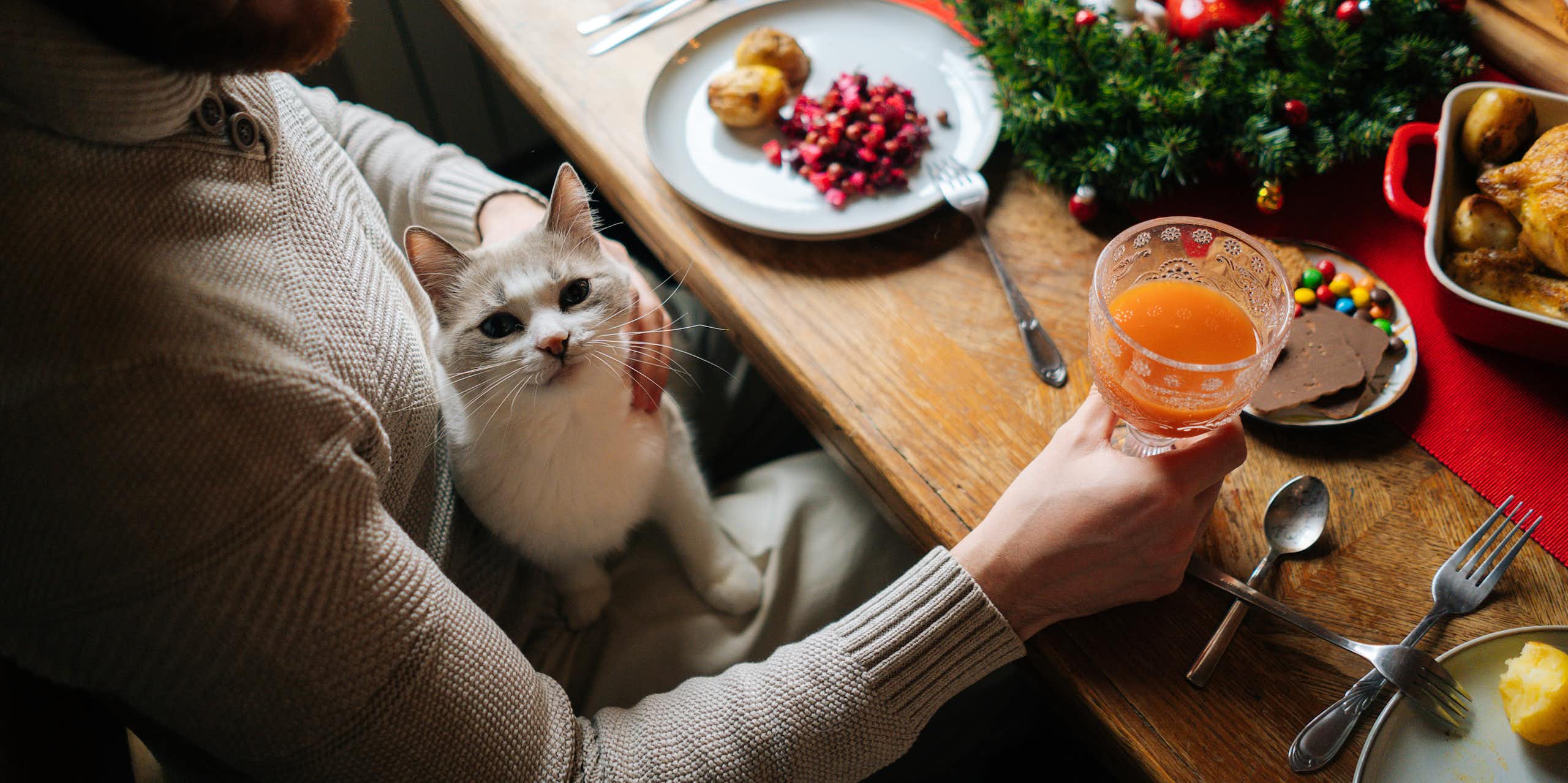 Un chat assis sur les genoux d'un homme, à côté d'une table rempli de victuailles