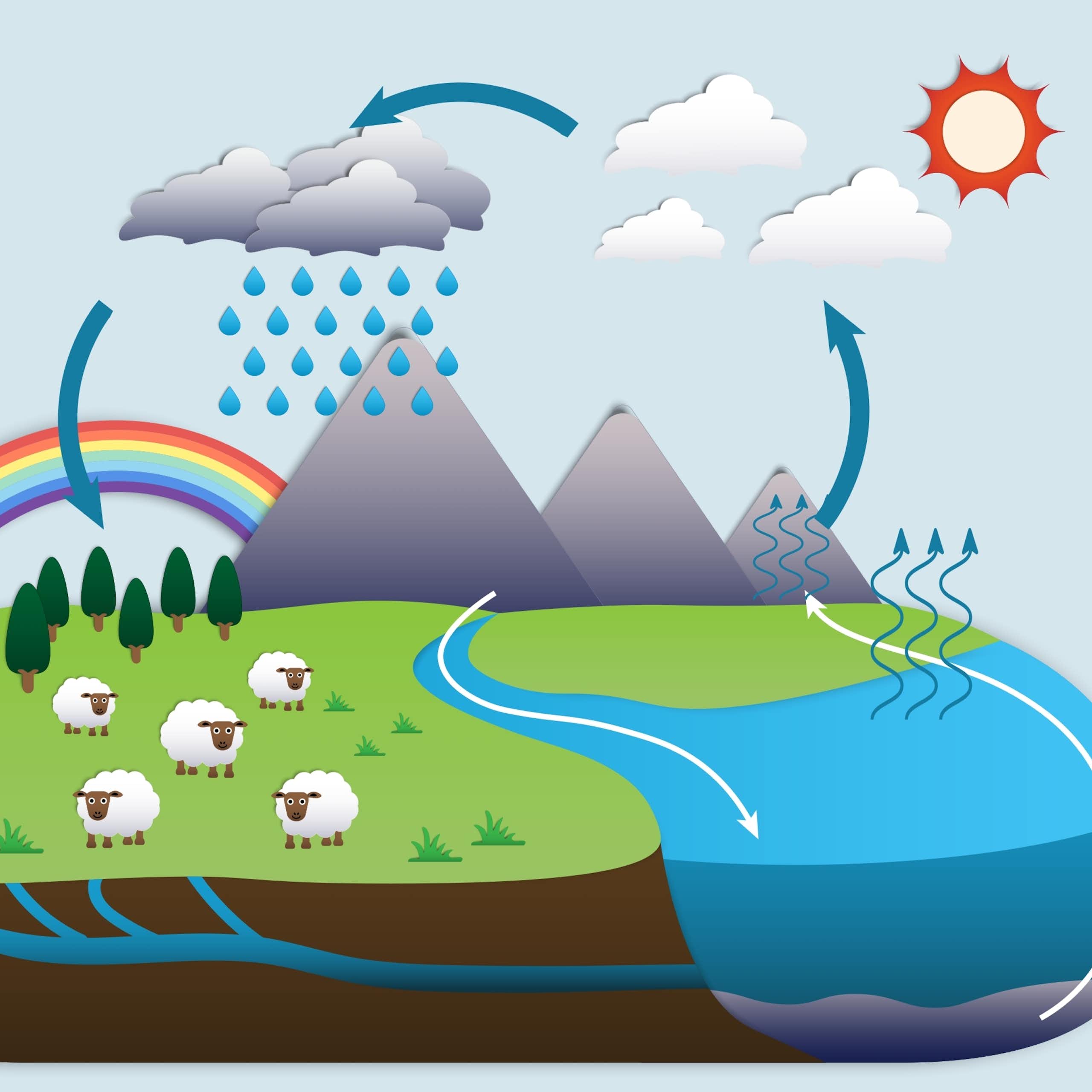 Lo que nunca nos contaron en el colegio sobre el ciclo del agua