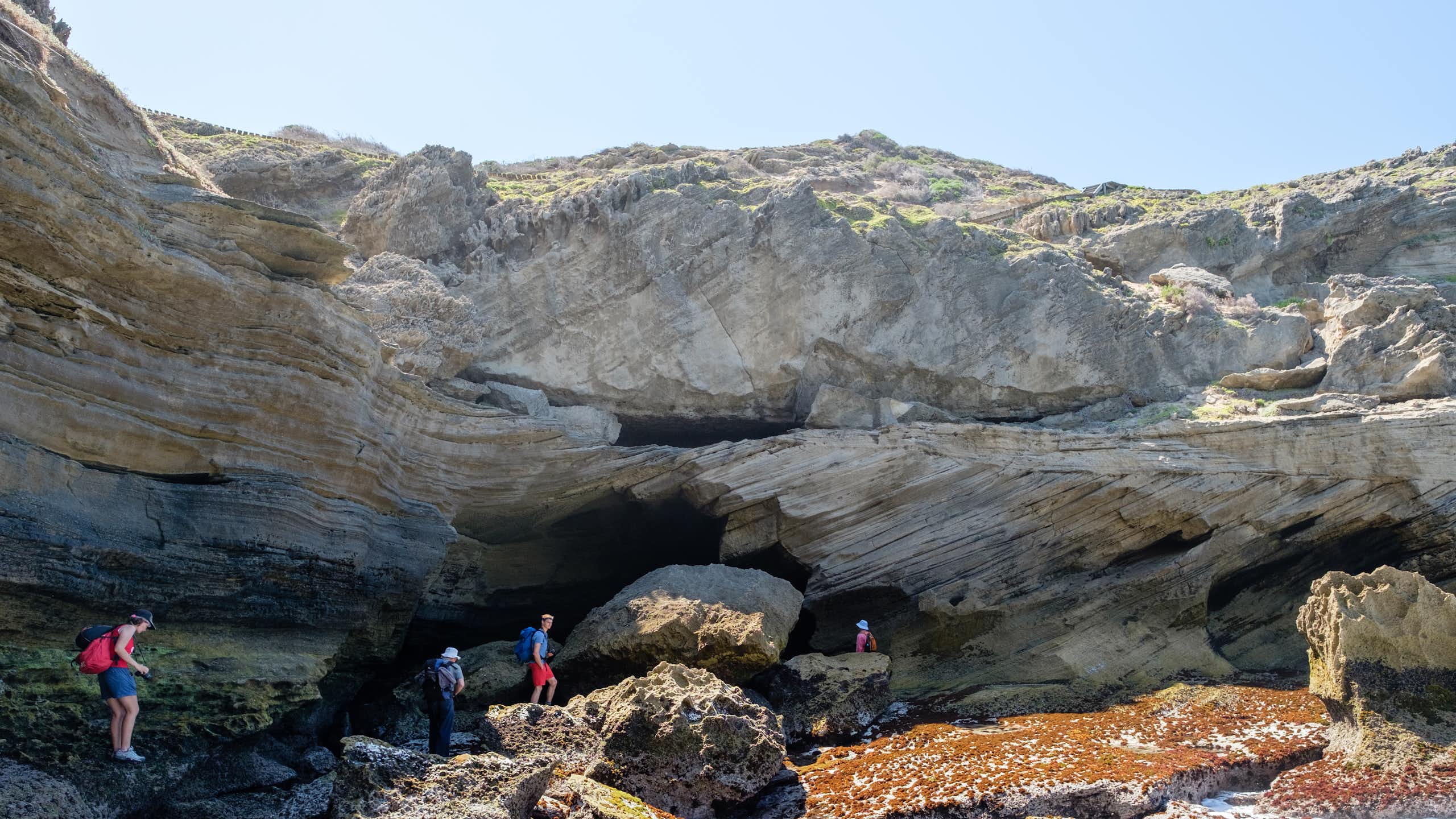 Four people navigating a craggy section of a coastline