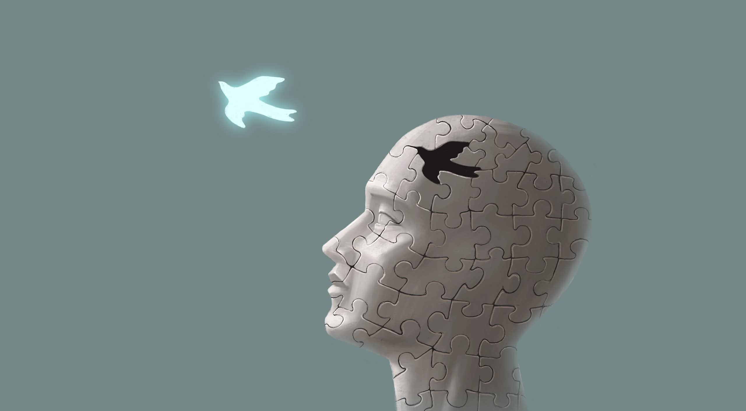 ‘Decidido’, de Robert Sapolsky: la ilusión del libre albedrío