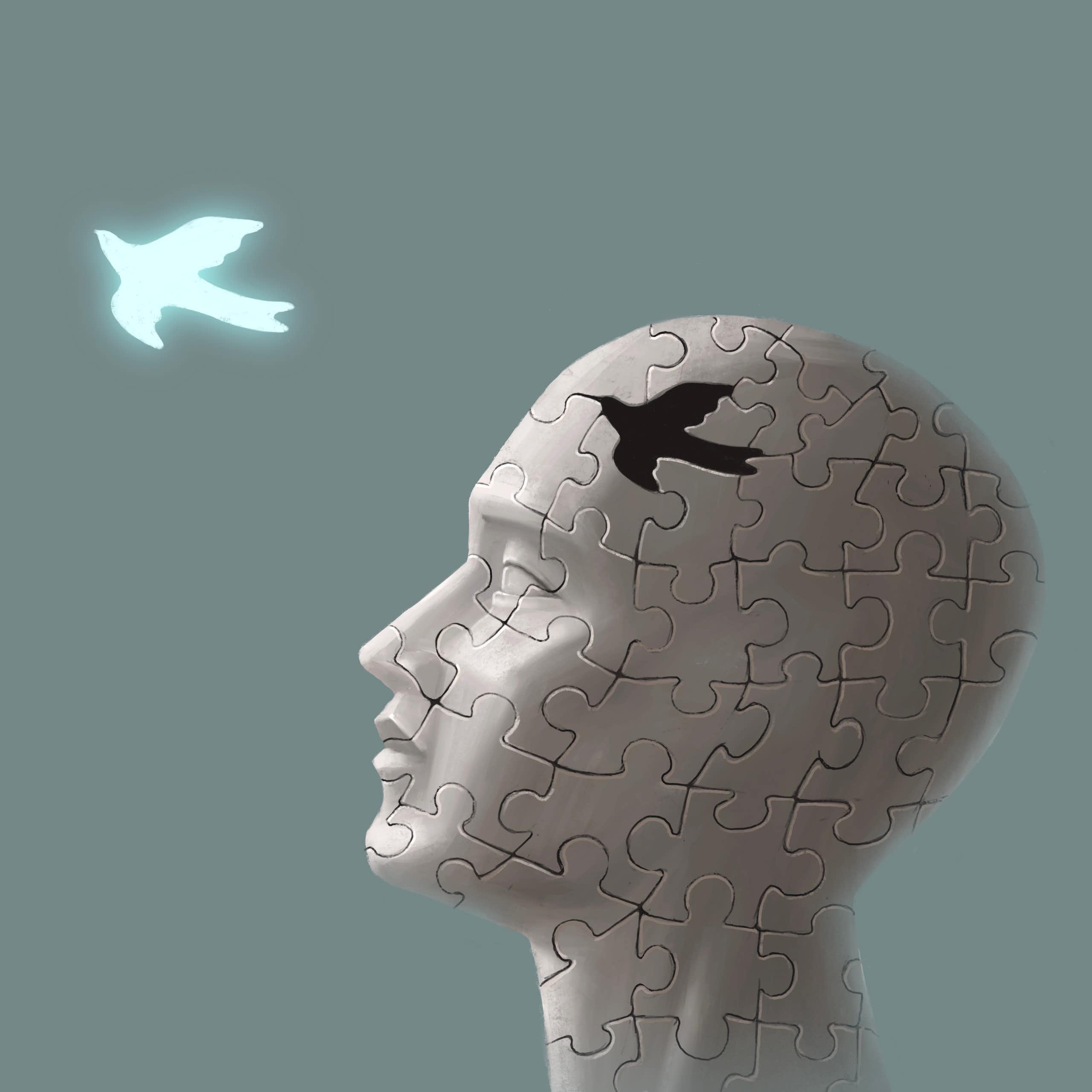 ‘Decidido’, de Robert Sapolsky: la ilusión del libre albedrío