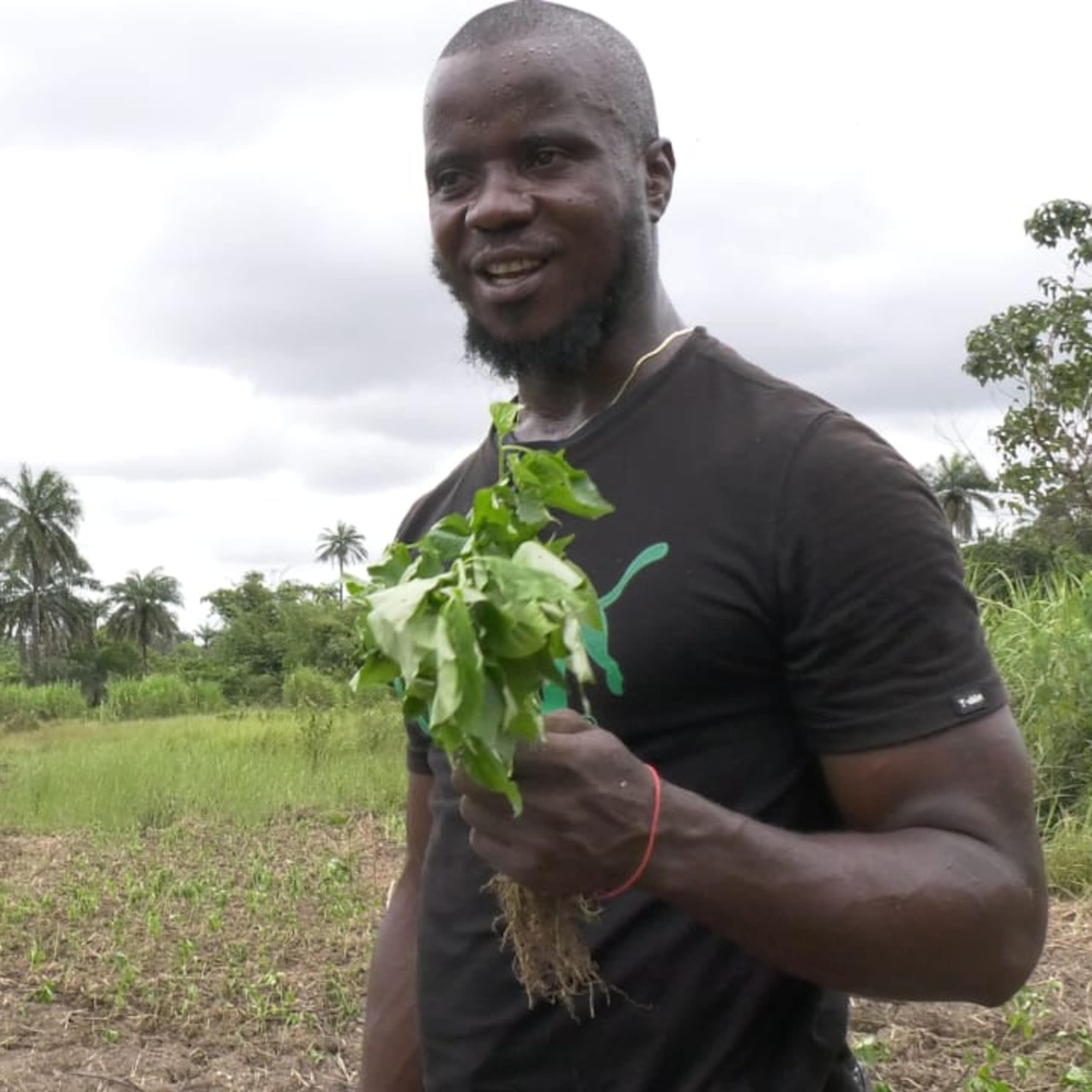 A photo of a man in a farm holding some plants. 