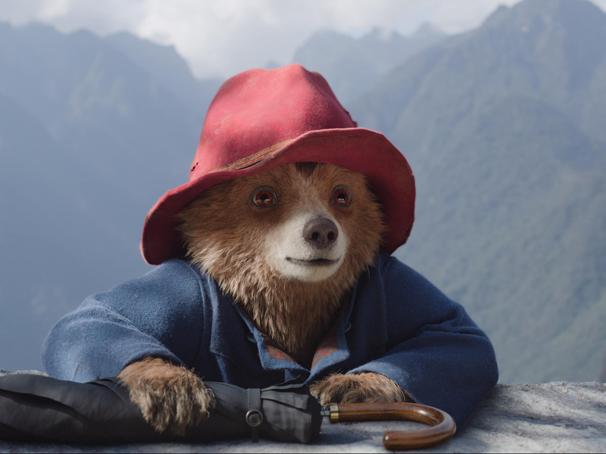 Paddington on a ledge