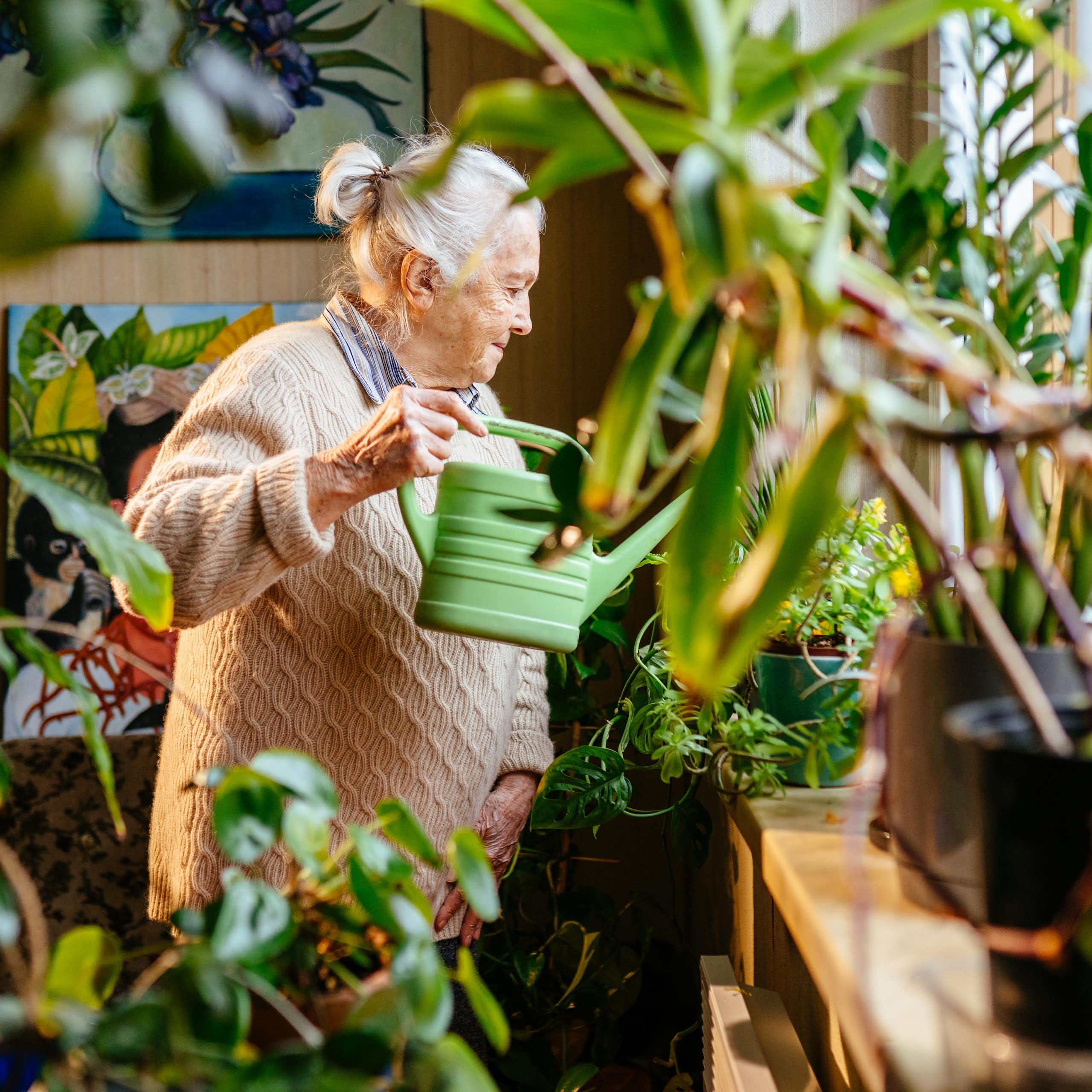 An older woman waters her plants