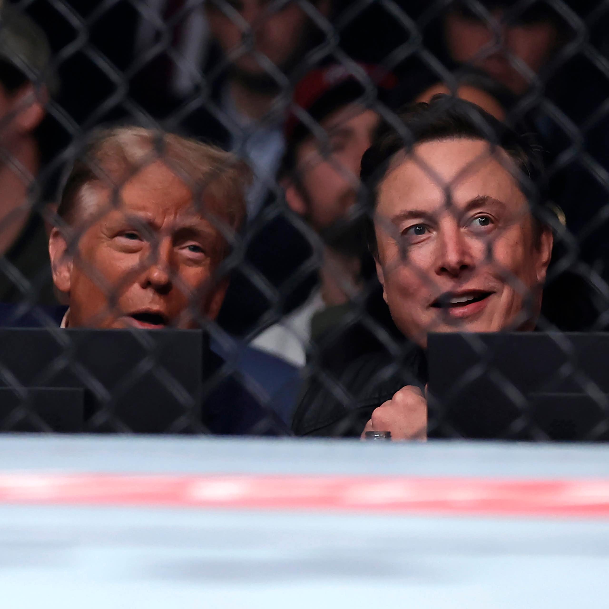 Photo of Donald Trump and Elon Musk sitting next to each other.
