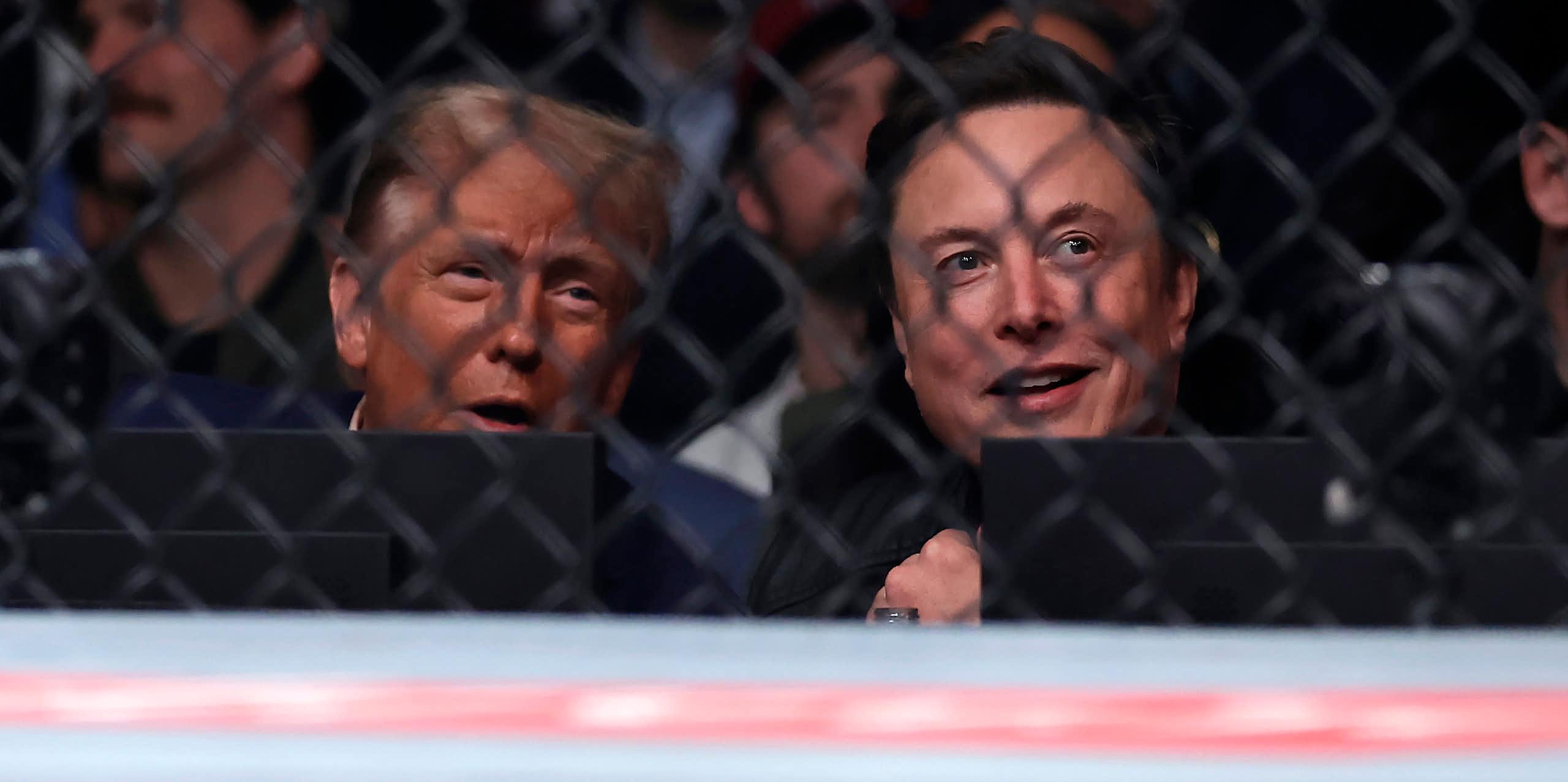 Photo of Donald Trump and Elon Musk sitting next to each other.