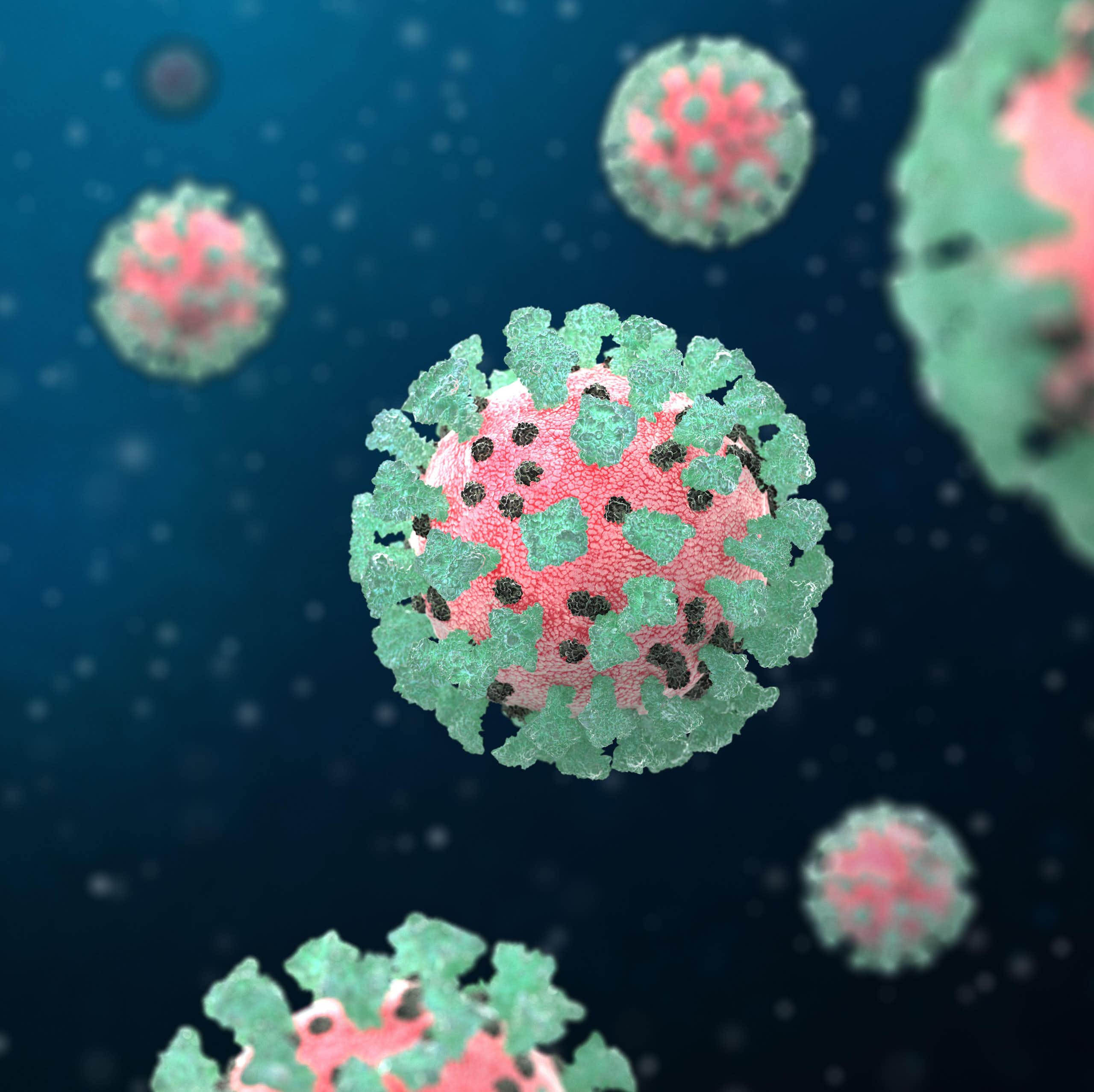 Graphic showing Sars-Cov-2, the virus that causes COVID-19.