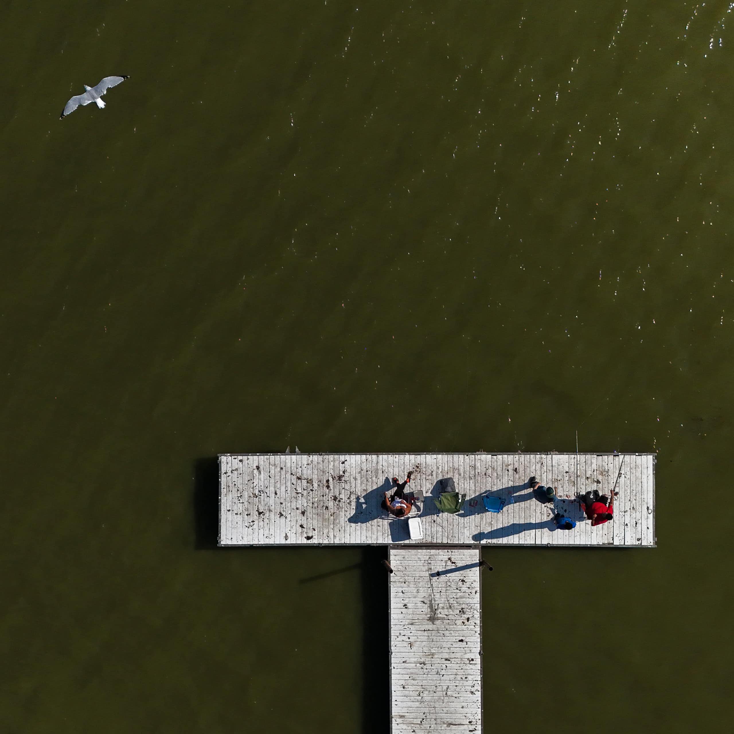 Deux personnes sont assises sur un quai entouré d'eau verte.