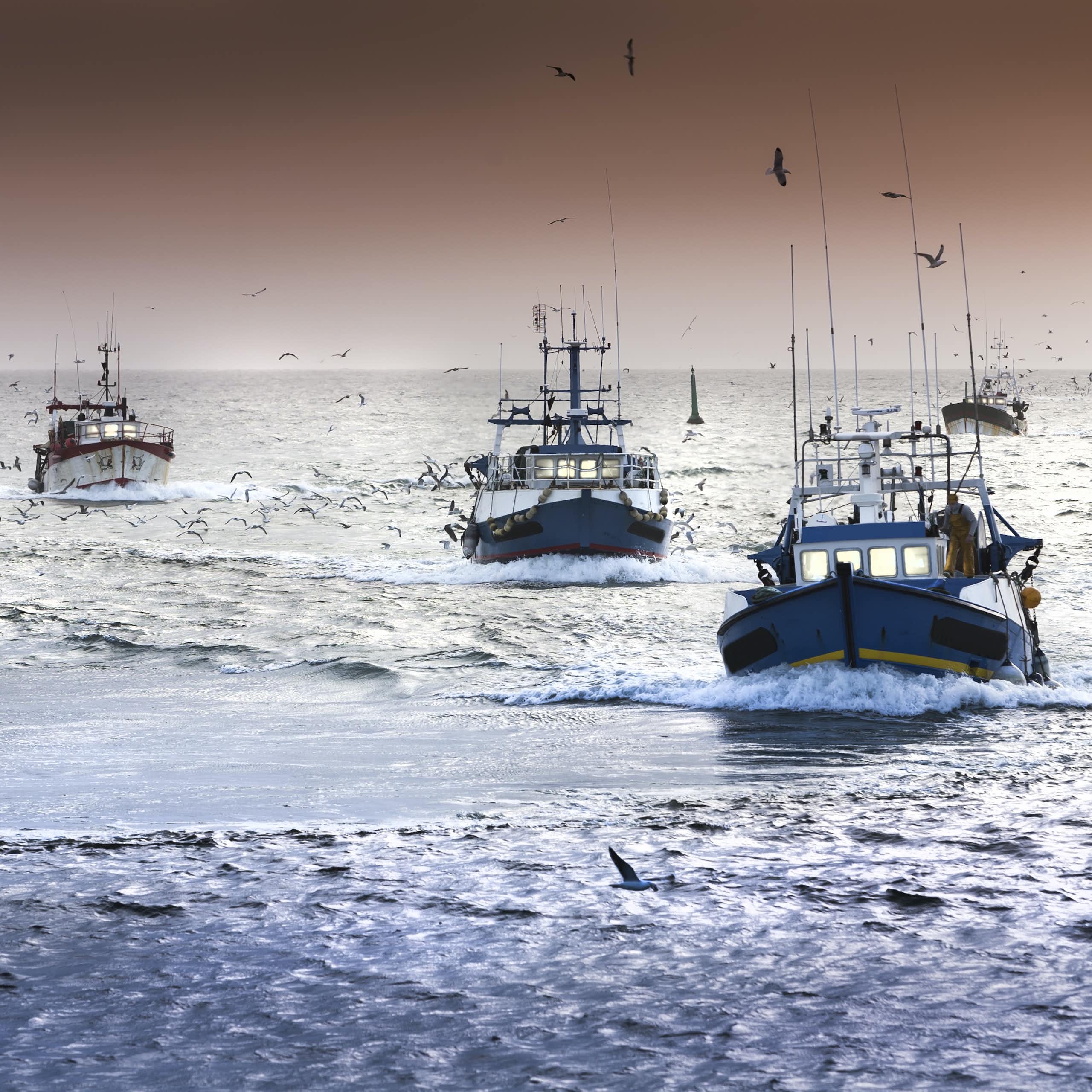 La pesca mundial frente al cambio climático: un éxodo hacia los polos