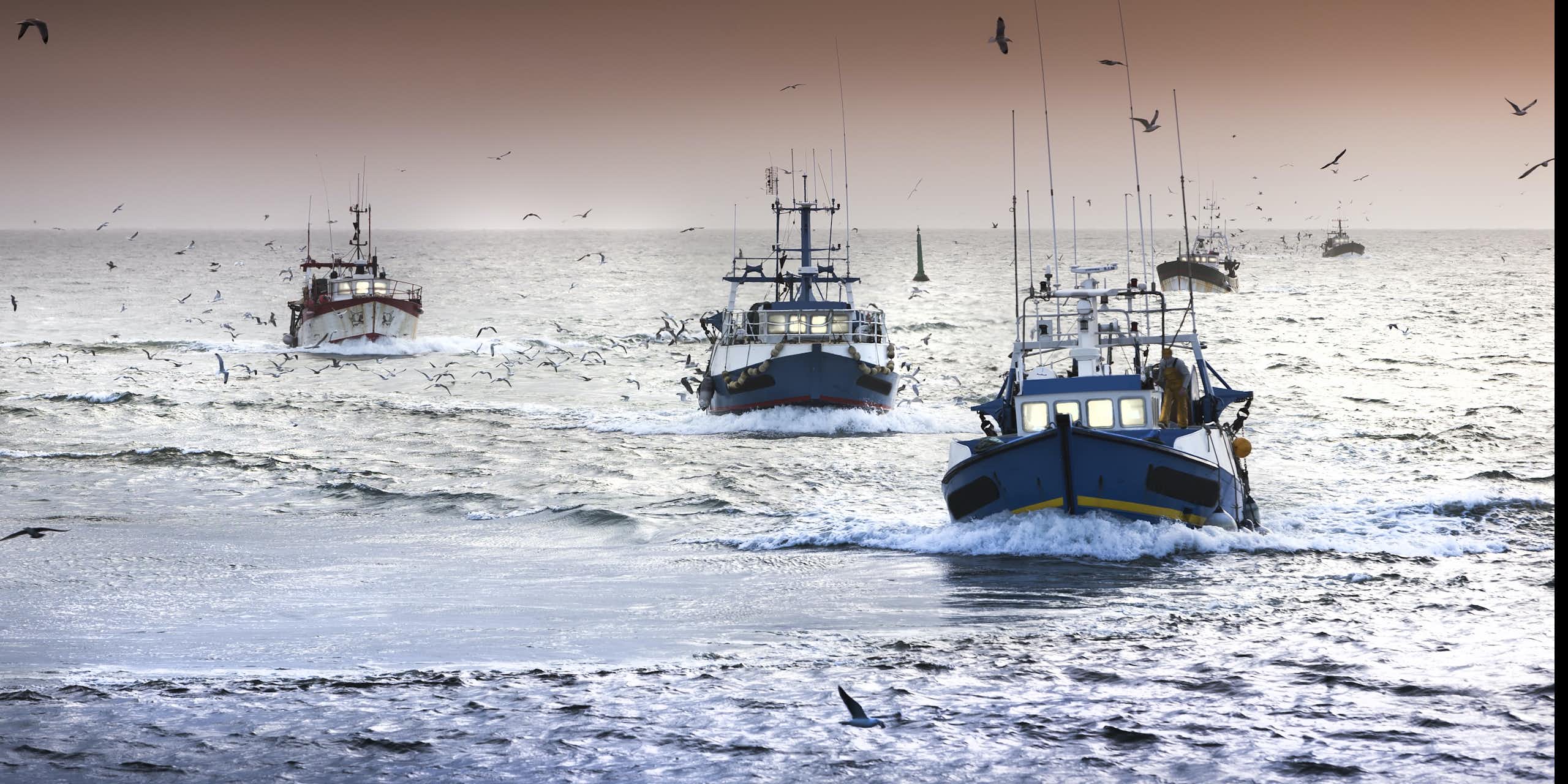 La pesca mundial frente al cambio climático: un éxodo hacia los polos