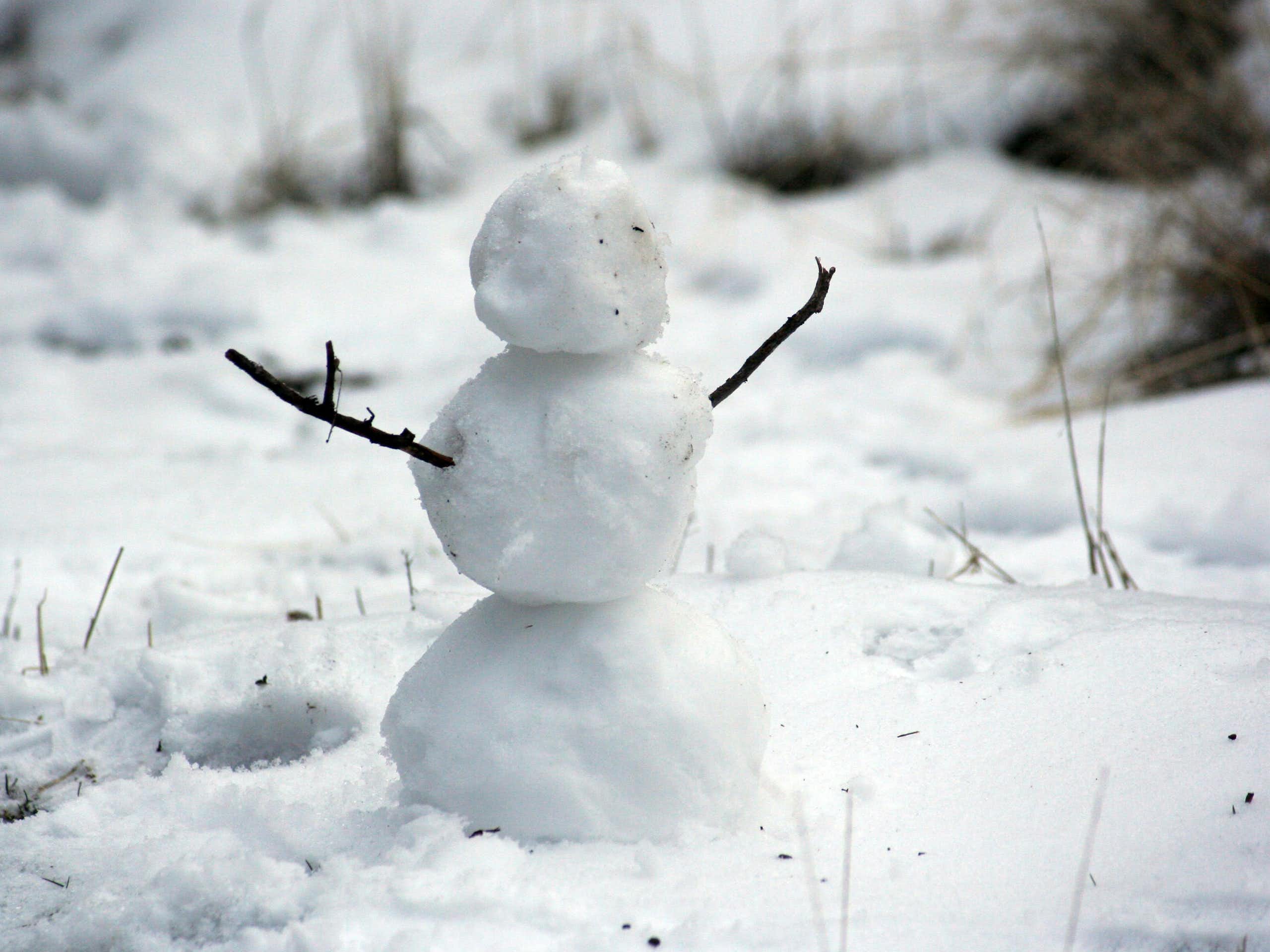 bonhomme de neige