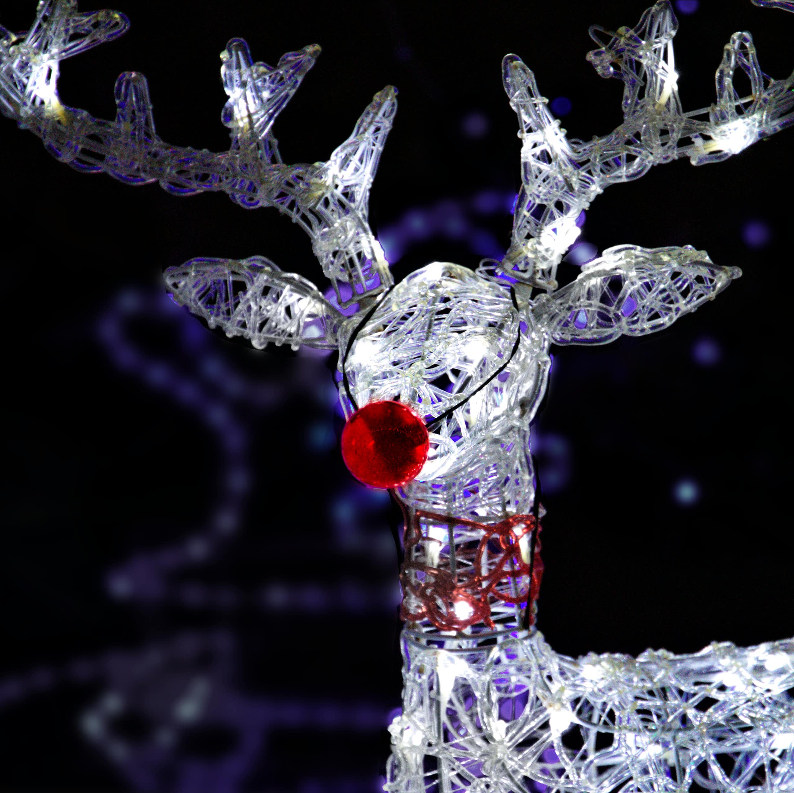 A light up reindeer with a red nose strapped to it.