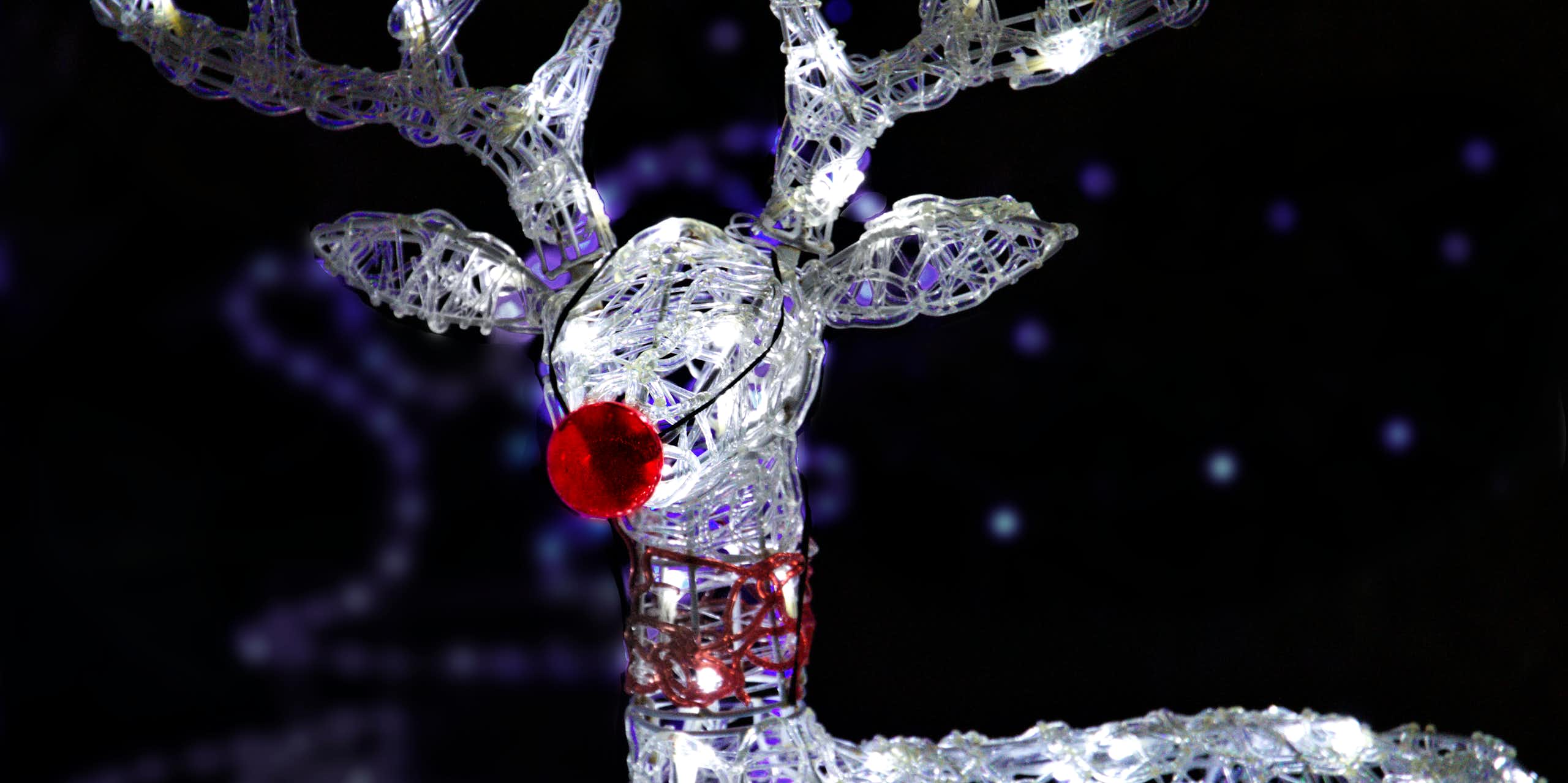 A light up reindeer with a red nose strapped to it.