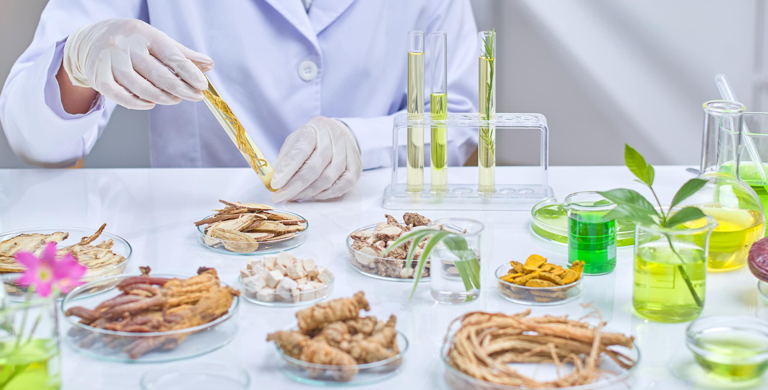 La liga de la salud: cinco moléculas de origen vegetal con beneficios demostrados