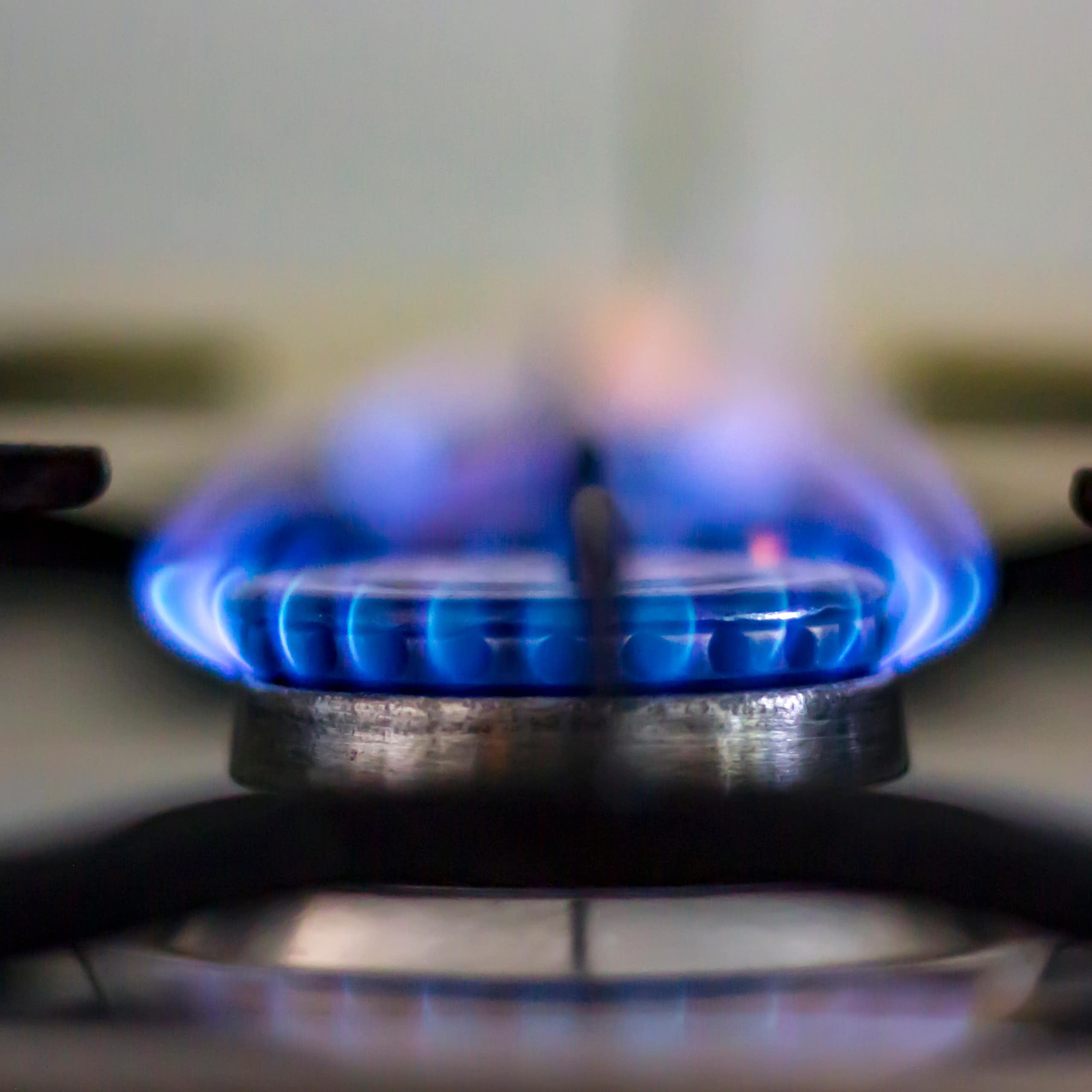 Por qué nos hace daño el monóxido de carbono y otras evidencias de la evolución