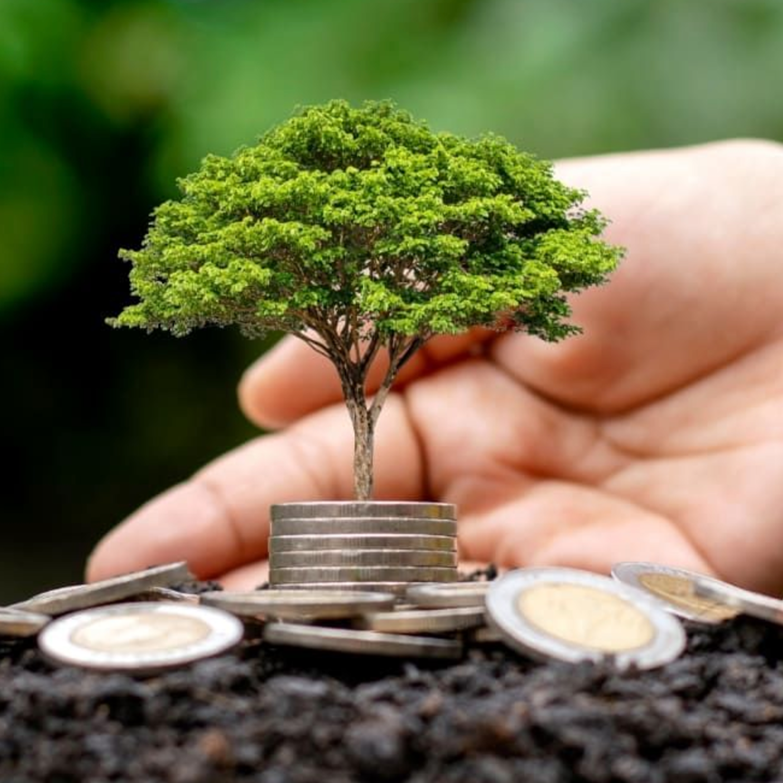 Economia das mudanças climáticas: Títulos sustentáveis para projetos verdes precisam ser melhor monitorados