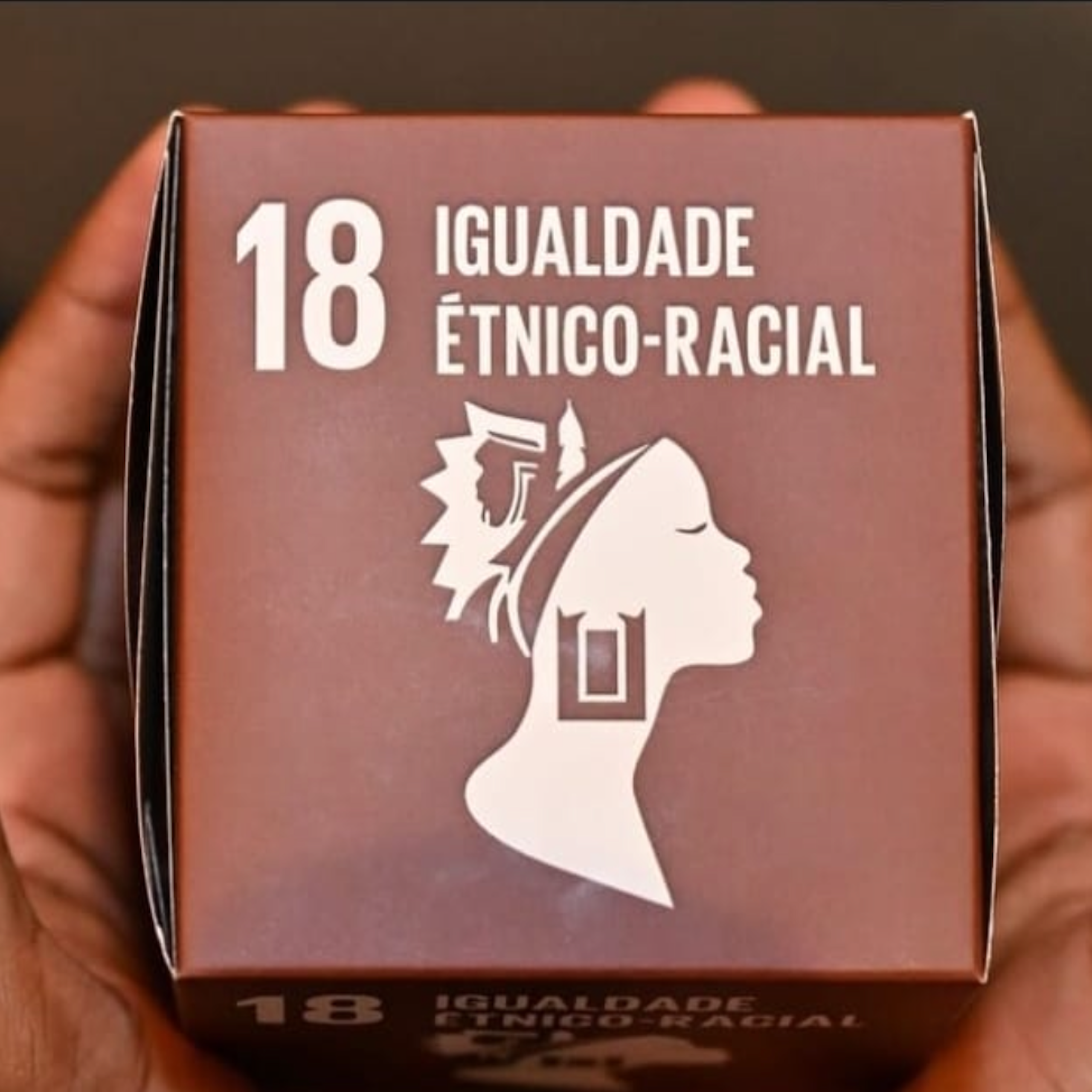 Mãos negras seguram um cubo marrom onde se lê: 18 Igualdade étnico-racial e o ícone do perfil de uma mulher com cabelos e brincos que trazem referências étnicas negras e indígenas